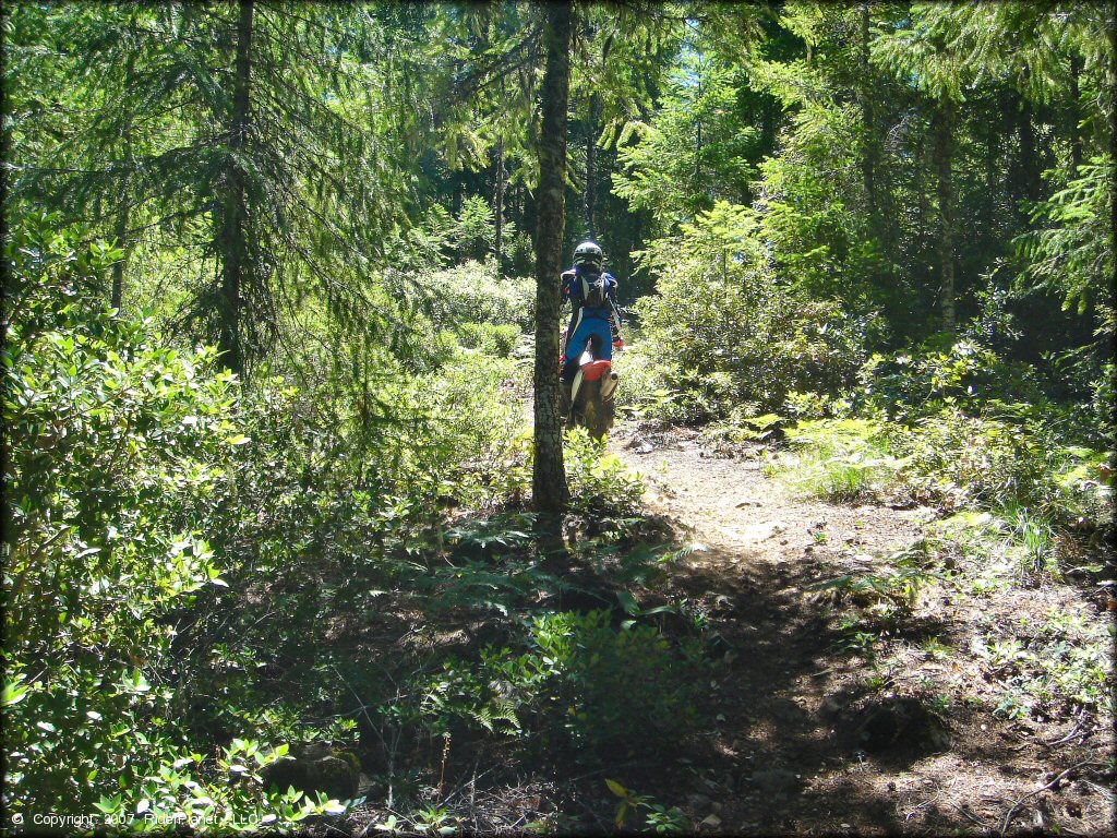 Woman riding a Honda CRF Motorcycle at High Dome Trail