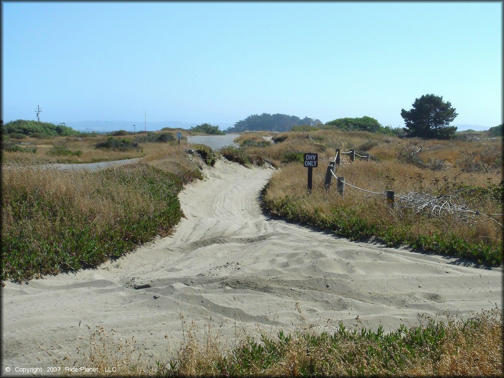Some terrain at Samoa Sand Dunes OHV Area