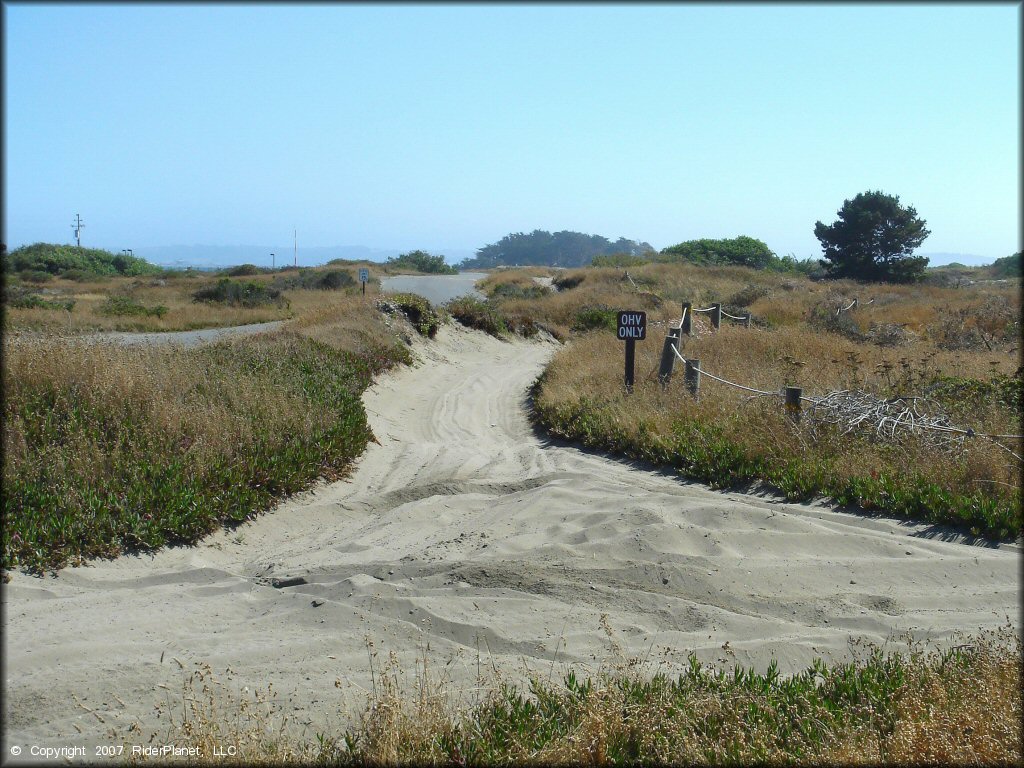 Example of terrain at Samoa Sand Dunes OHV Area