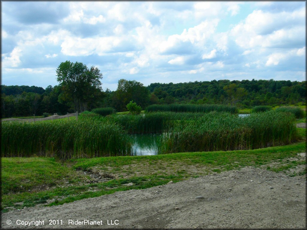 Terrain example at Marble Springs MX Track