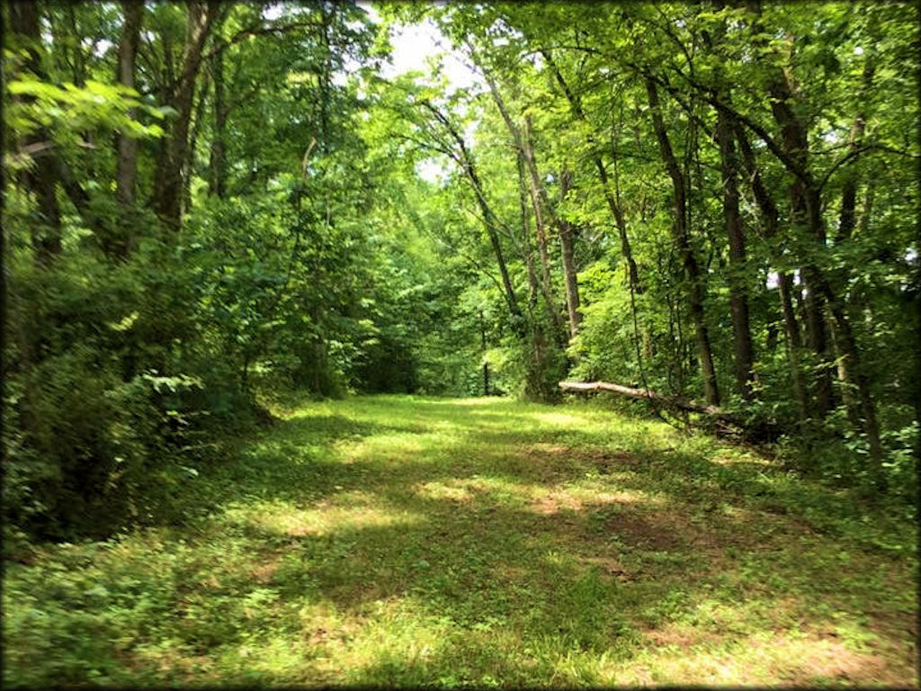 Lake Moco, LLC Riding Club Trail