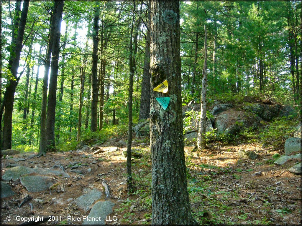 Example of terrain at F. Gilbert Hills State Forest Trail