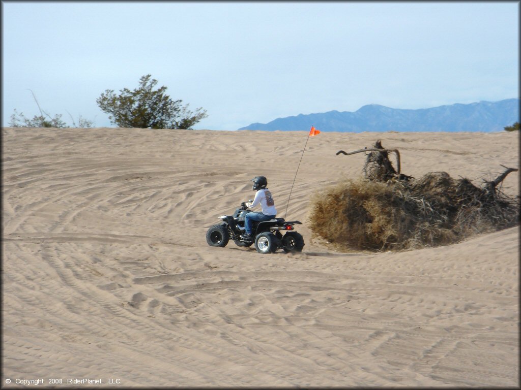 OHV at Hot Well Dunes OHV Area