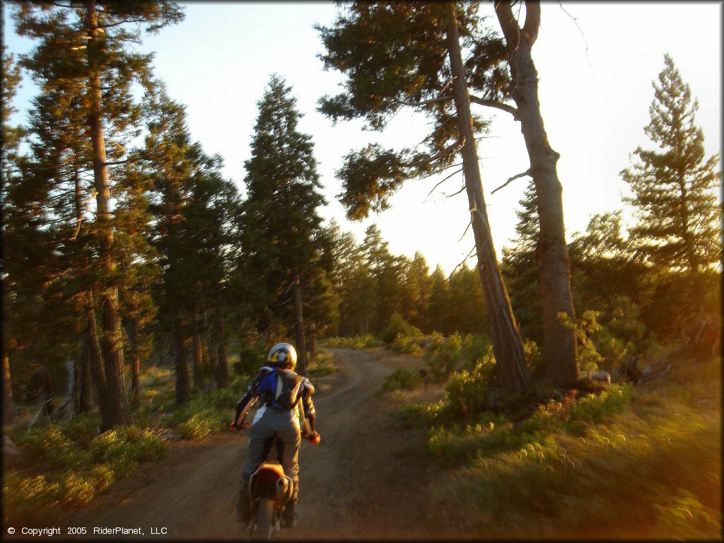 Honda CRF Motorcycle at Black Springs OHV Network Trail