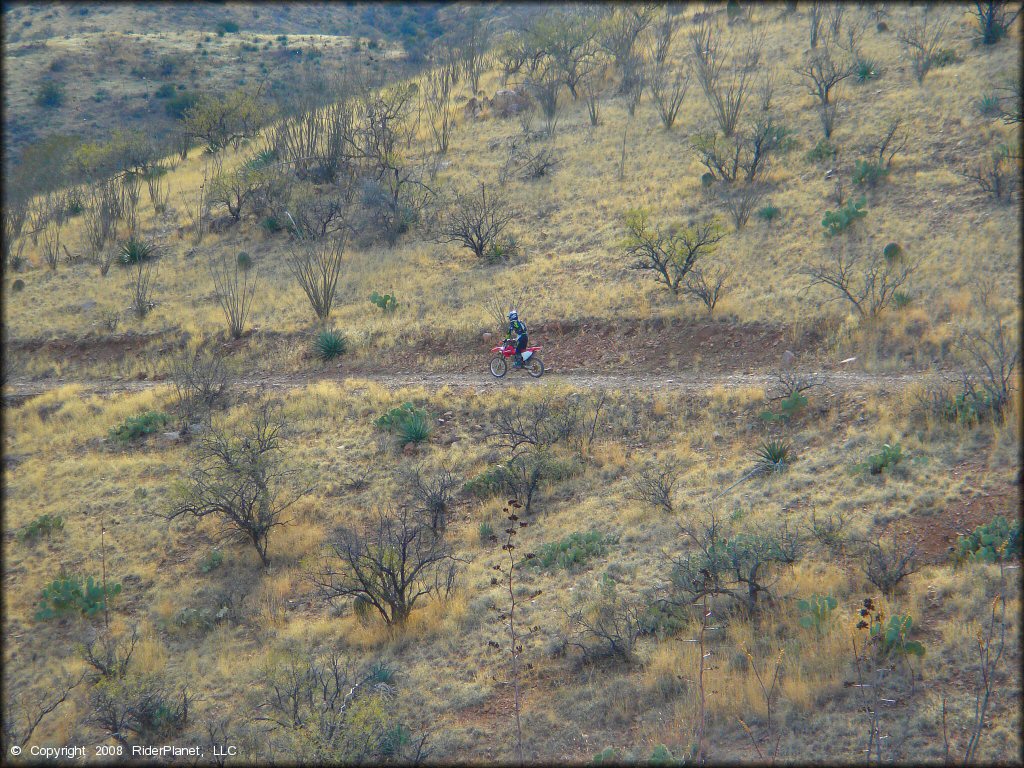 Honda CRF Dirtbike at Santa Rita OHV Routes Trail