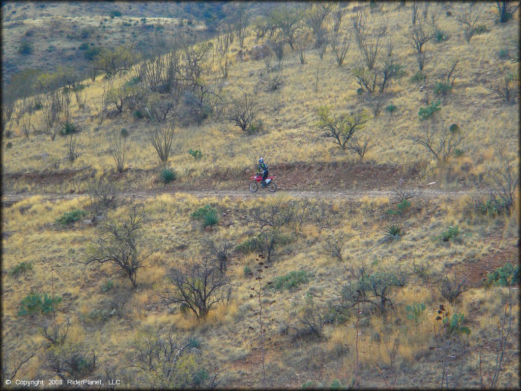 Honda CRF Motorcycle at Santa Rita OHV Routes Trail