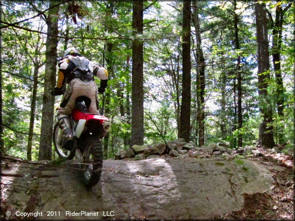 Honda CRF Dirt Bike at Franklin Trails