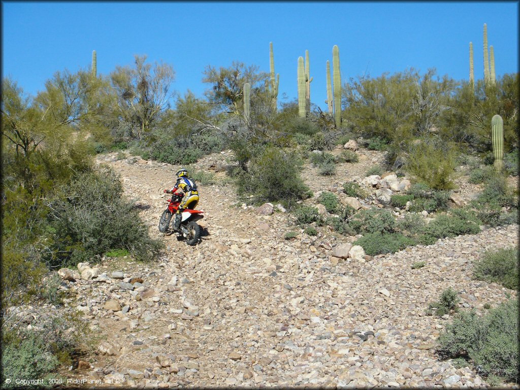 Honda CRF Motorcycle at Mescal Mountain OHV Area Trail