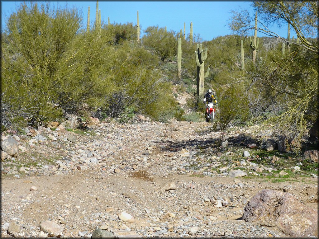 Honda CRF Trail Bike at Mescal Mountain OHV Area Trail