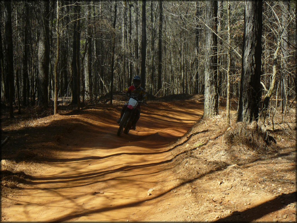 Young man wearing Rockstar motocross gear riding Honda dirt bike navigating smooth ATV trail in the woods.