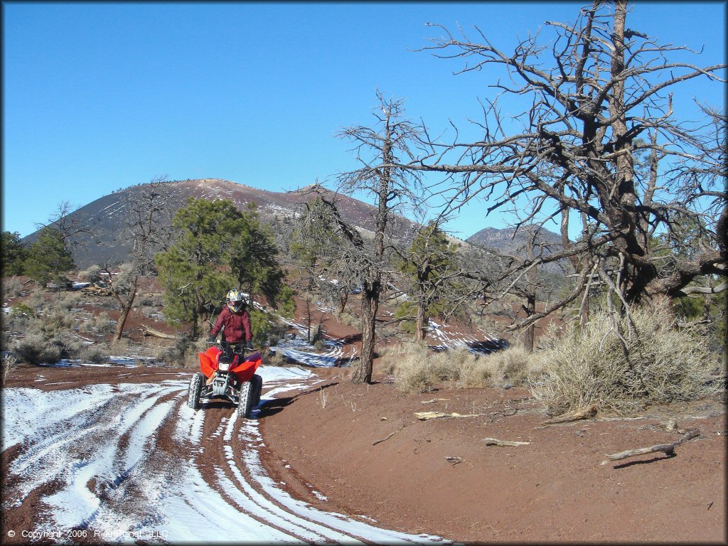 Rider on Honda TRX 250EX riding through snow covered ATV trail.