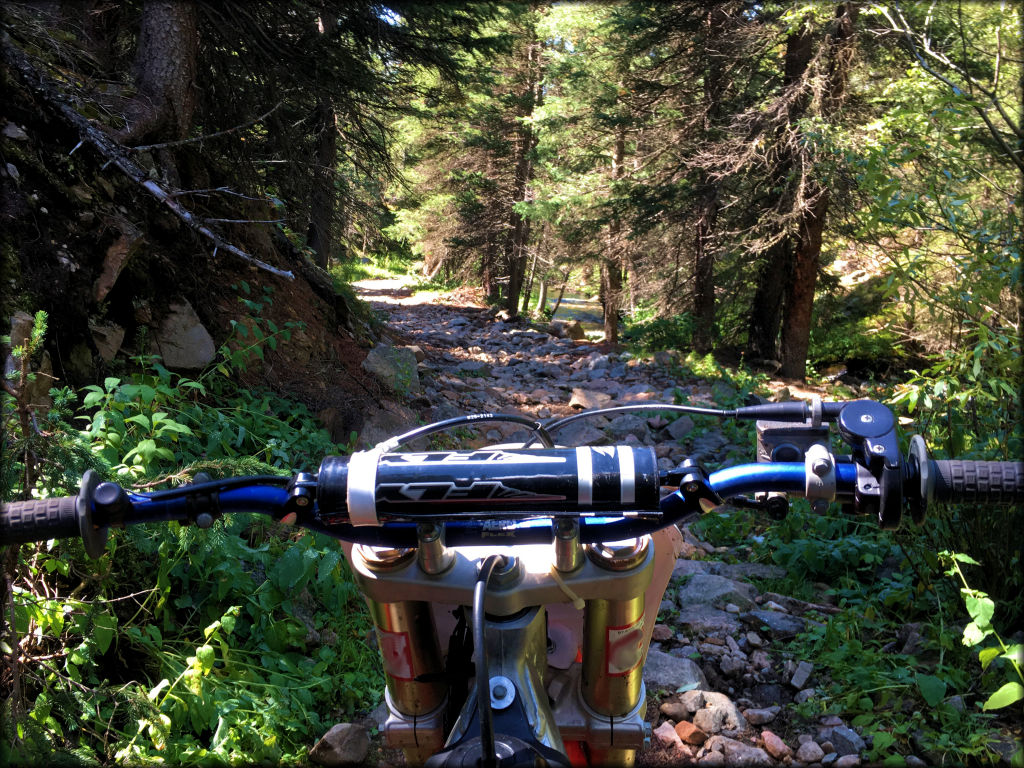 Straight Creek Trail