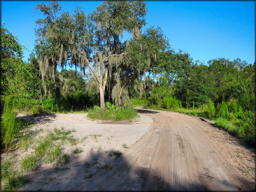 Peace River Campground Trail