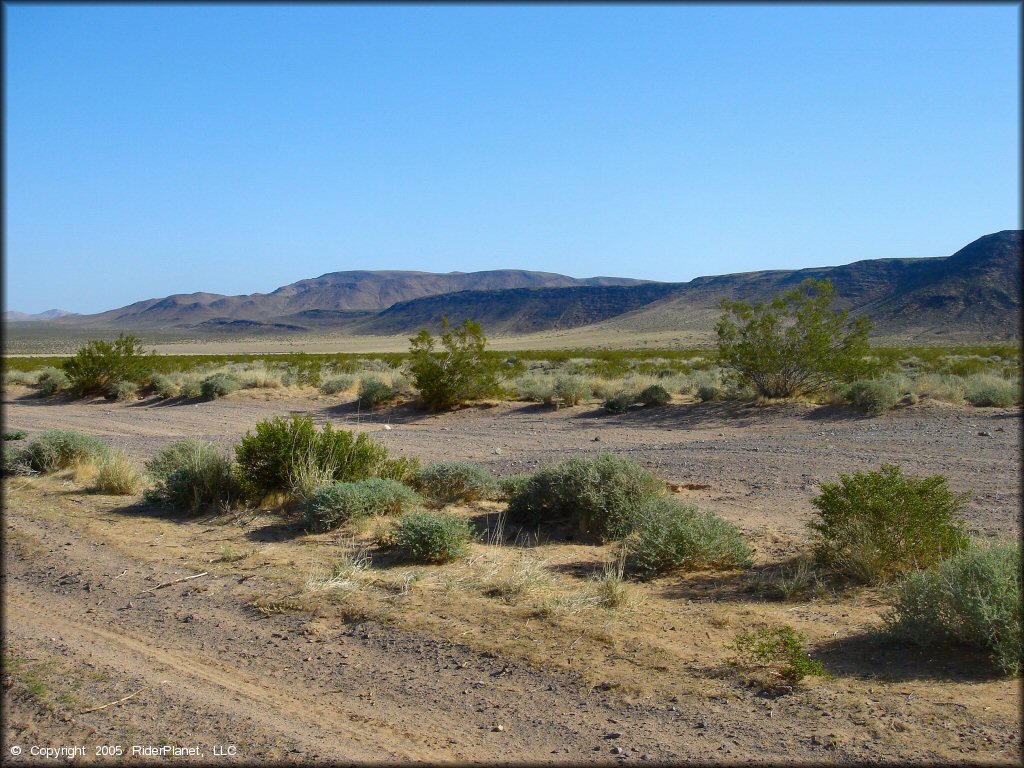 Scenic view of Jean Roach Dry Lake Bed Trail