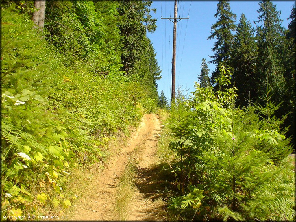 A trail at Low Pass Trail