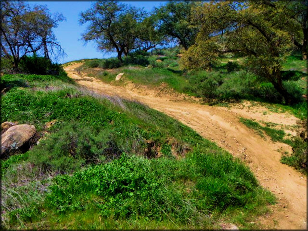 Side view of hard packed uphill section of motocross track with turn.