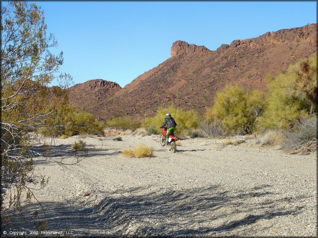 Honda CRF Dirtbike wheelying at Swansea Townsite Trail