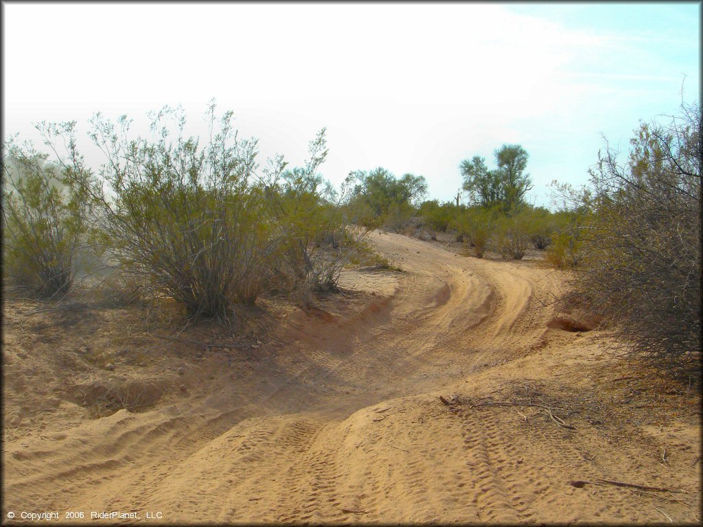 Example of terrain at Desert Wells Multiuse Area Trail