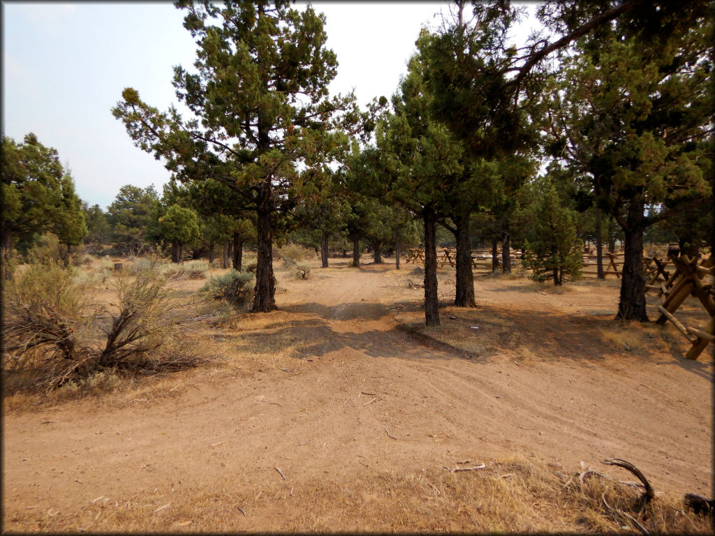 Juniper Flats OHV Area Trail