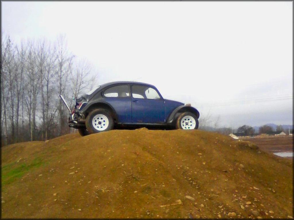 Blue Volkswagen Beetle parked on top of small hill.