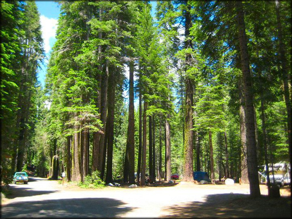 Hull Creek And Trout Creek OHV Area Trail