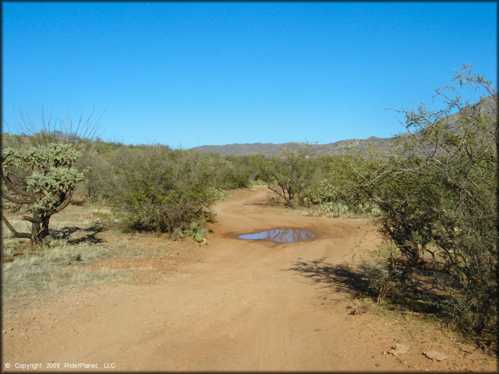 A trail at Charouleau Gap Trail