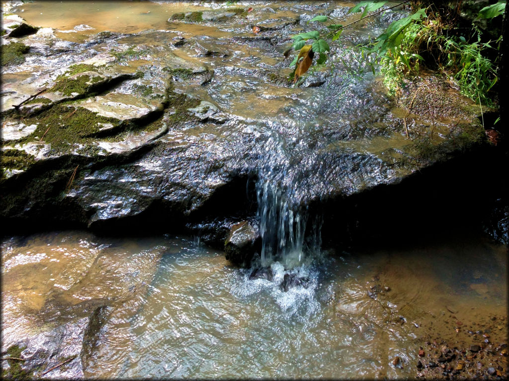 Brock Creek Trails