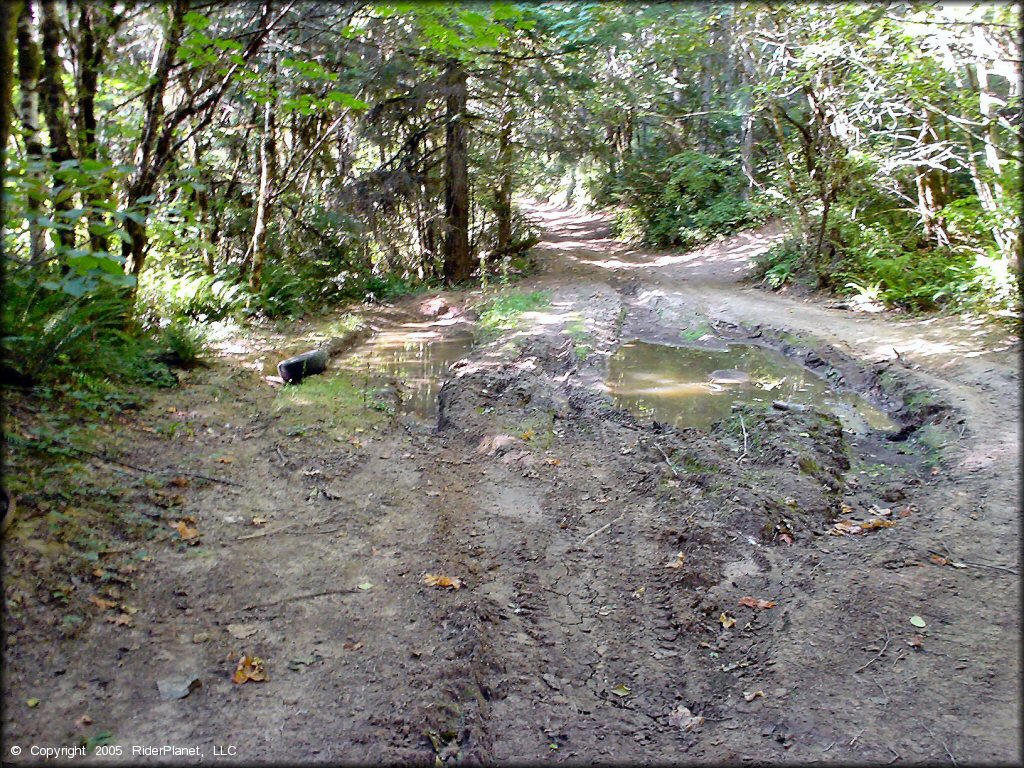 Terrain example at Low Pass Trail