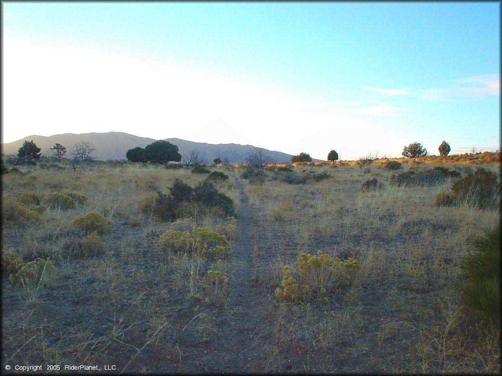 A trail at Stead MX OHV Area