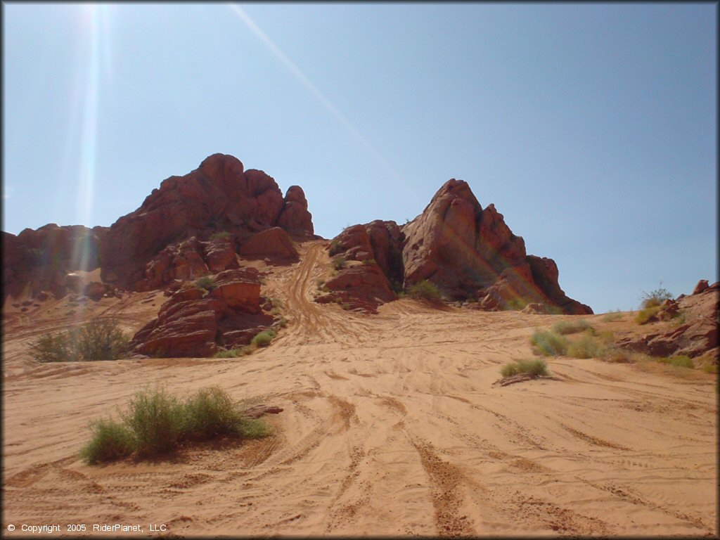 Open sandy play area with trails.