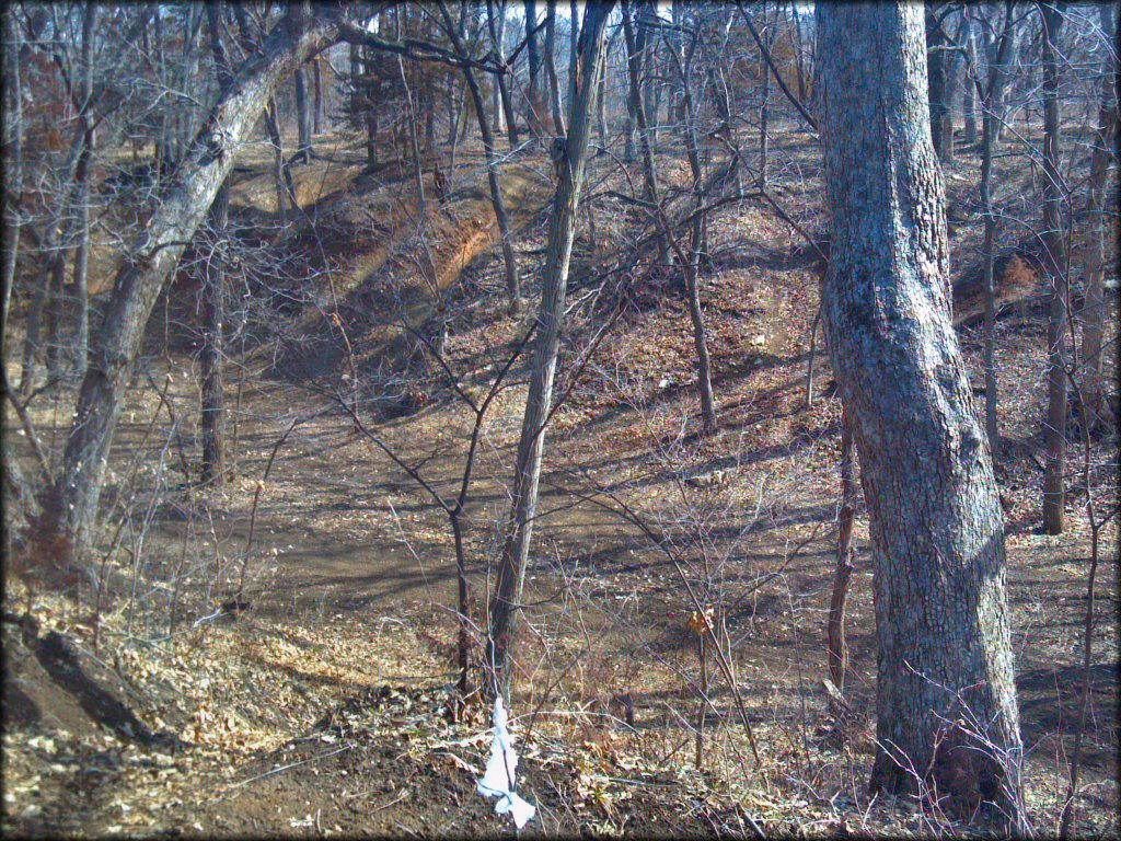 Terrain example at Spillway Cycle Area Trail