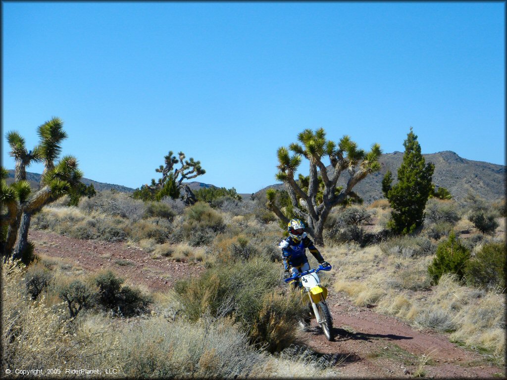 OHV at Chief Mountain OHV Area Trail