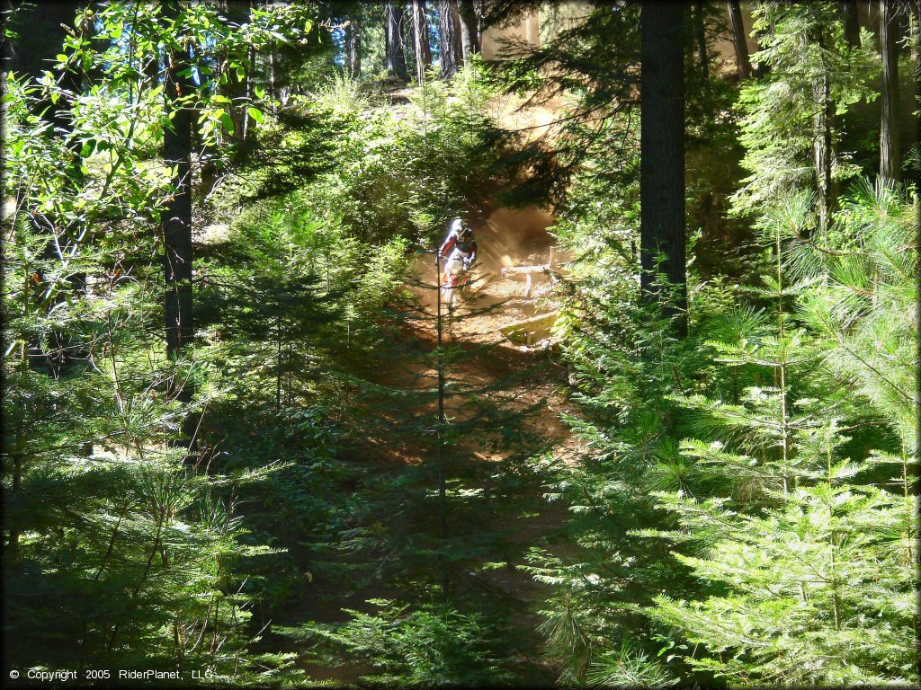 Honda CRF Dirtbike at Miami Creek OHV Area Trail