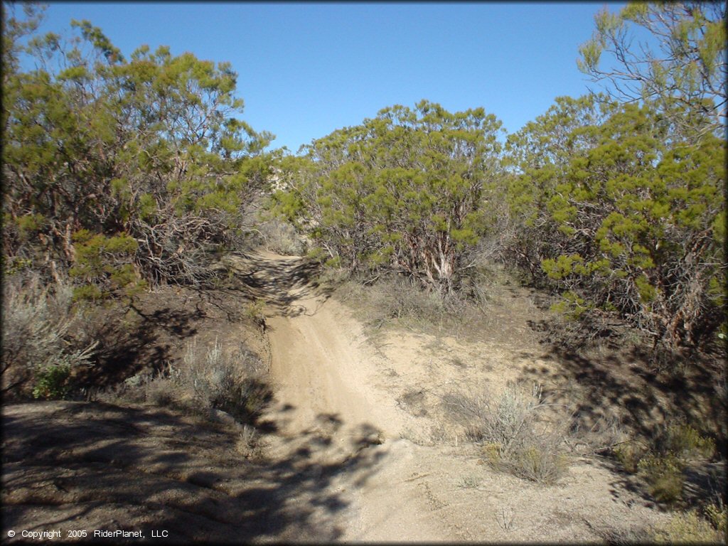 Example of terrain at Lark Canyon OHV Area Trail