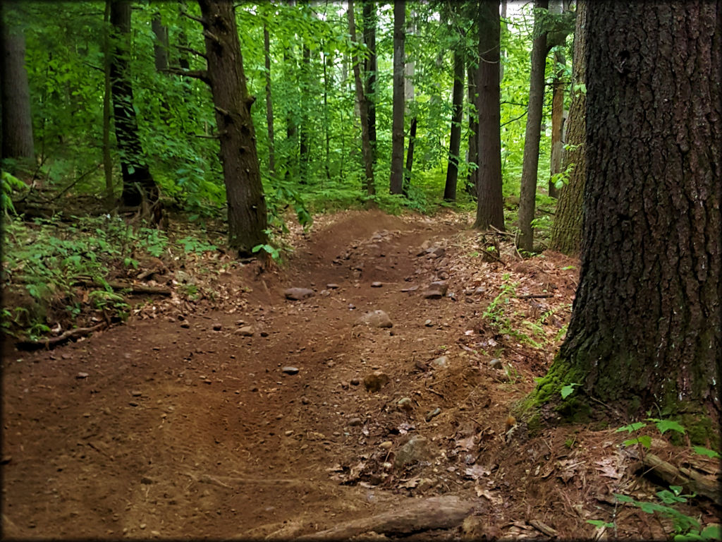 Hopkinton-Everett Trail System