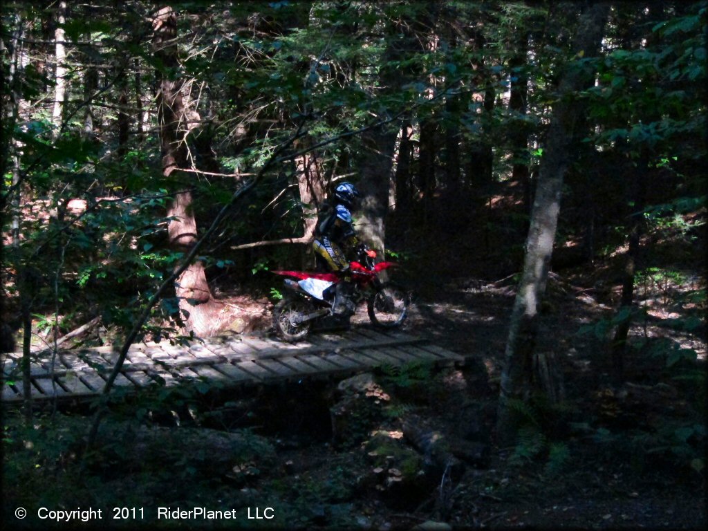 Honda CRF Dirt Bike crossing the water at Beartown State Forest Trail