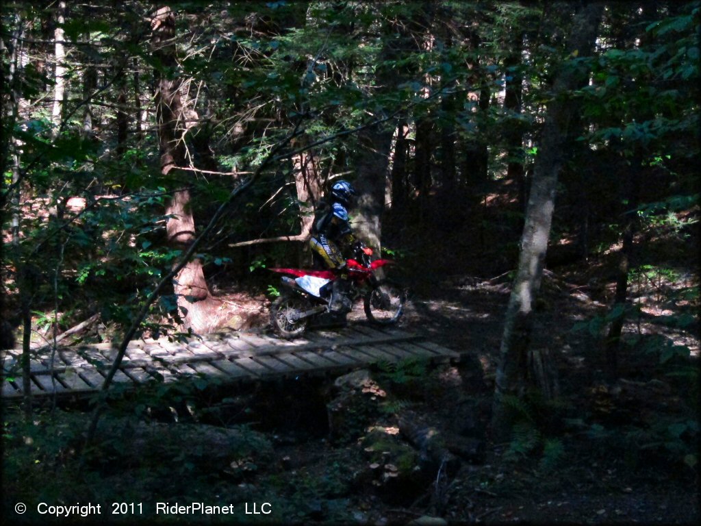 Honda CRF Dirt Bike traversing the water at Beartown State Forest Trail