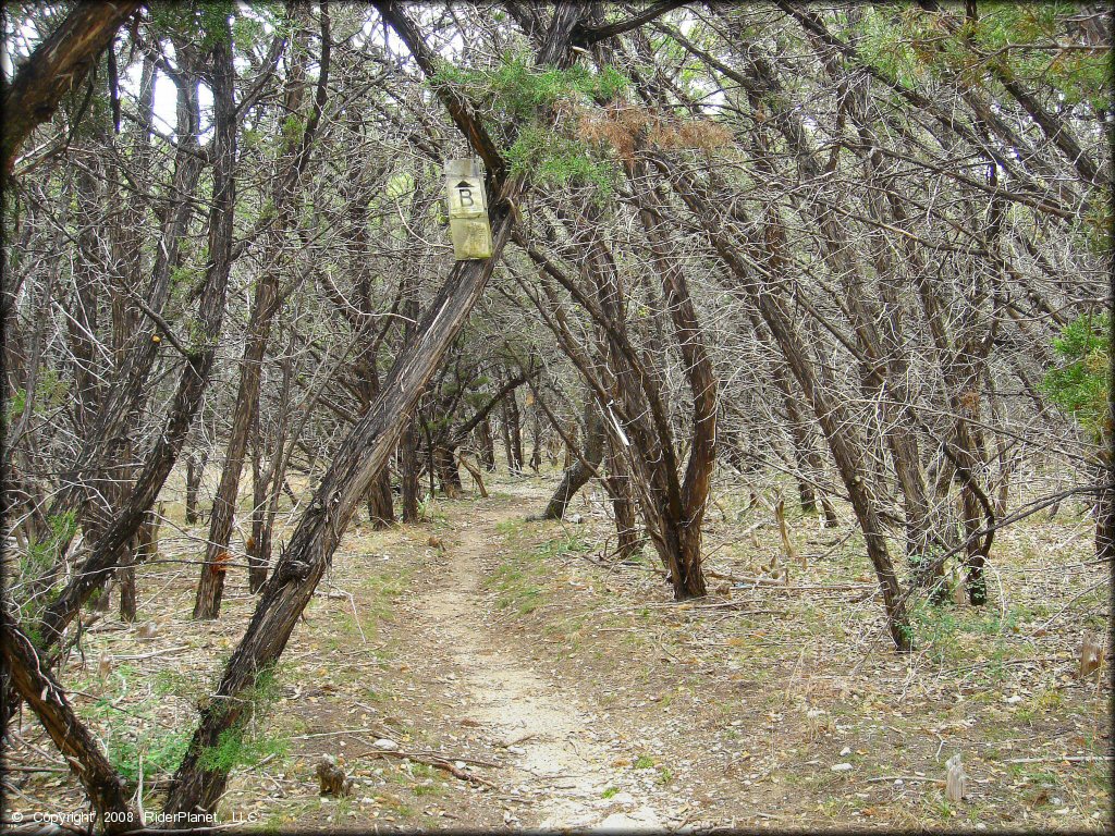 A trail at Emma Long Metropolitan Park Trail