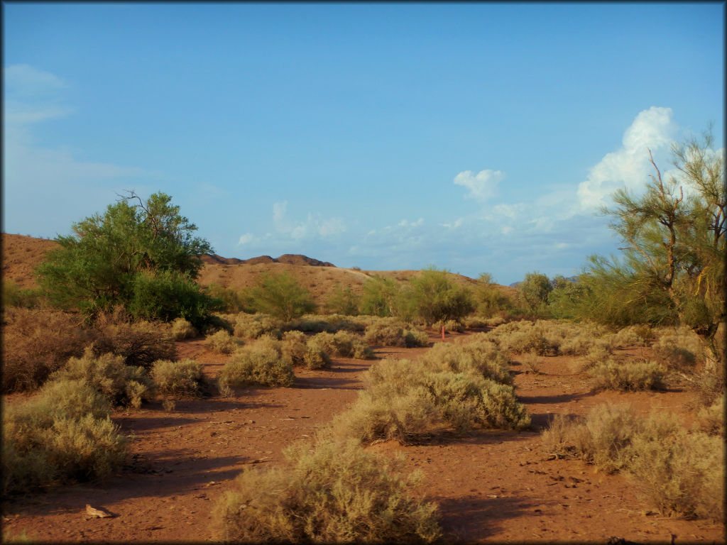 Crossroads OHV Area Trail