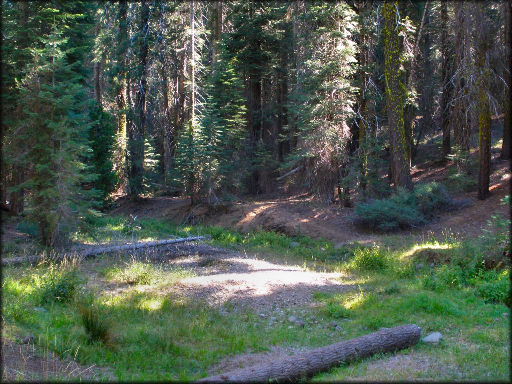 Some terrain at Hull Creek And Trout Creek OHV Area Trail