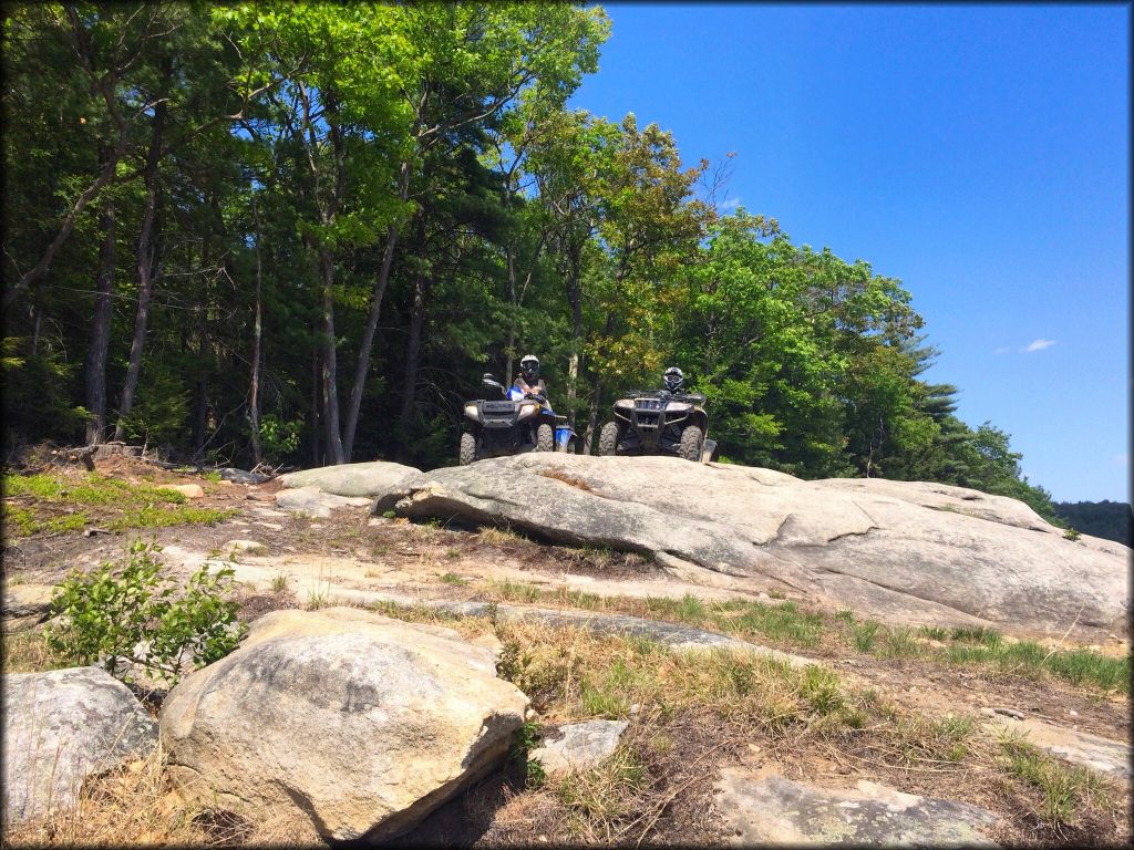 Little Monadnock Family Trails