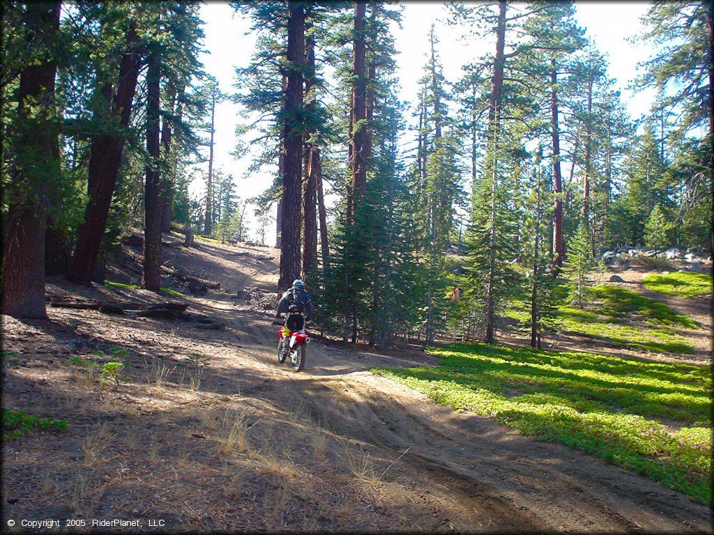 Honda CRF Motorcycle at Genoa Peak Trail