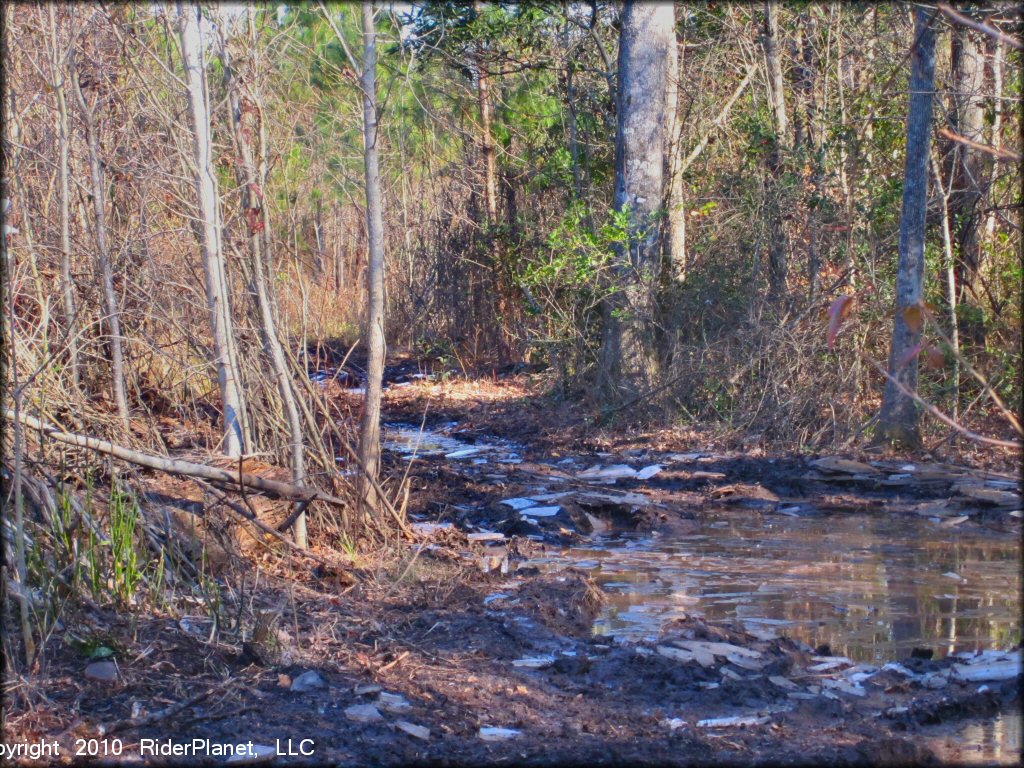 A trail at Big Nasty ATV Park OHV Area