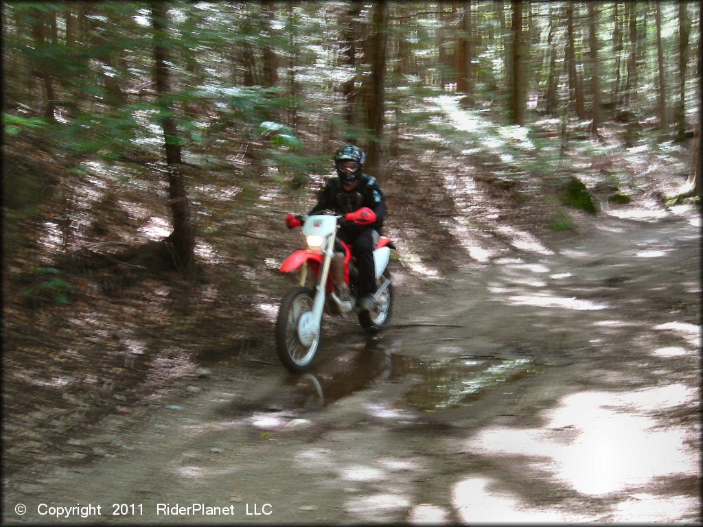 Honda CRF Dirtbike at Pisgah State Park Trail