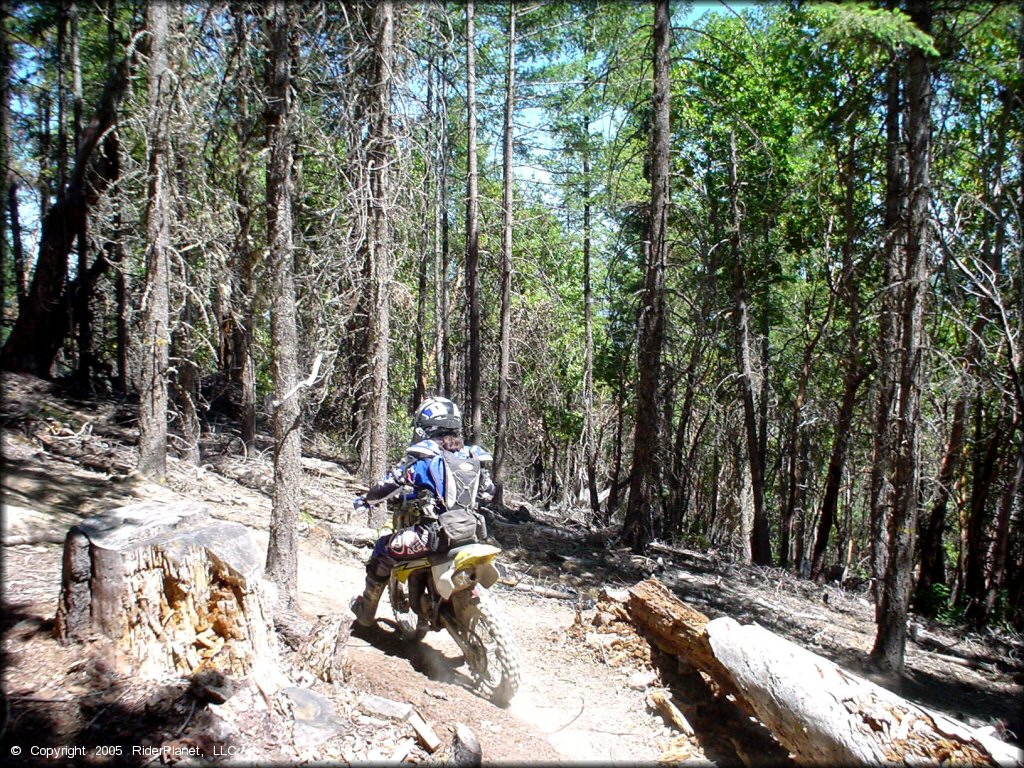 OHV at John's Peak OHV Area Trail