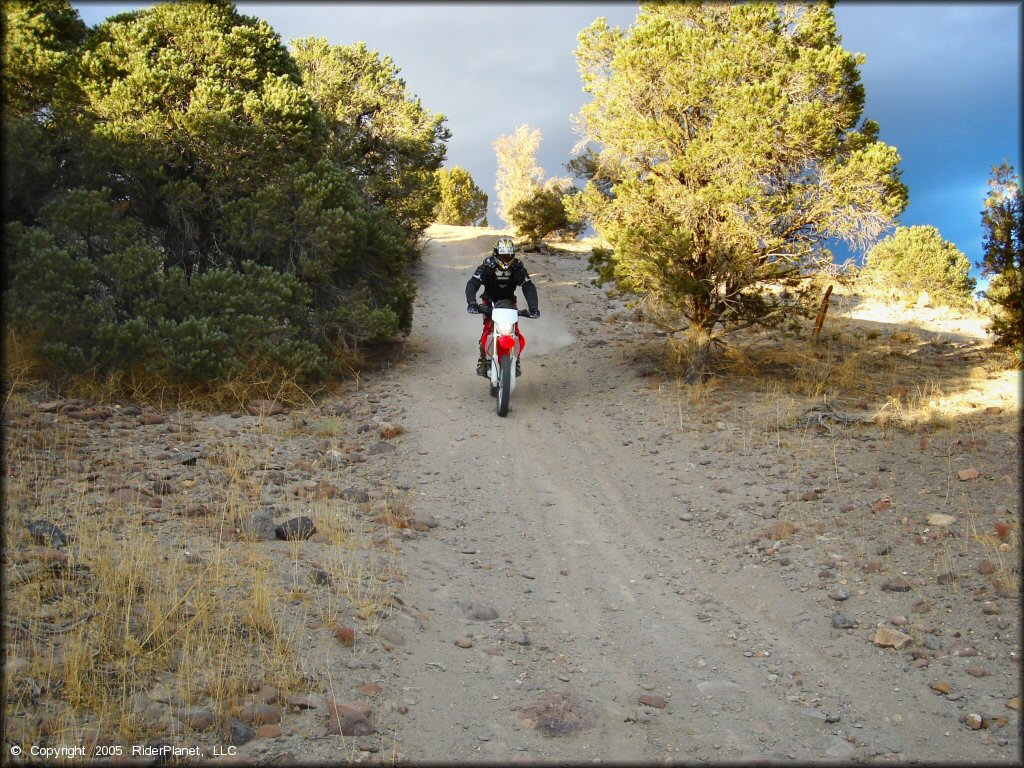 Honda CRF Motorbike at Mount Seigel OHV Trails