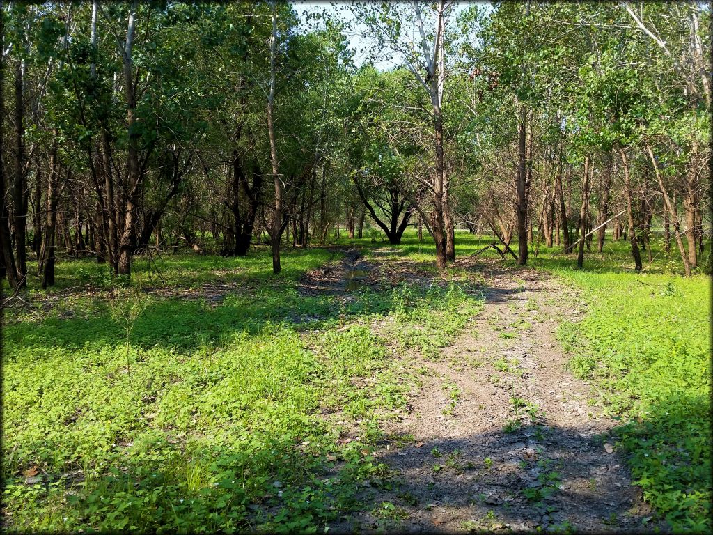 Otter Creek ATV Area Trail