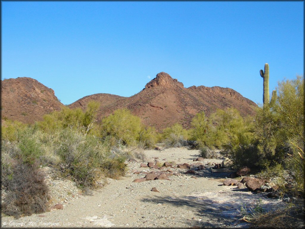 OHV at Swansea Townsite Trail