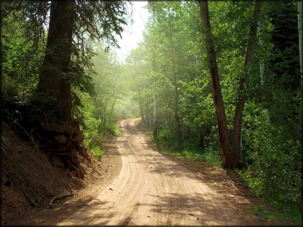 Wagon Wheel OHV Trails