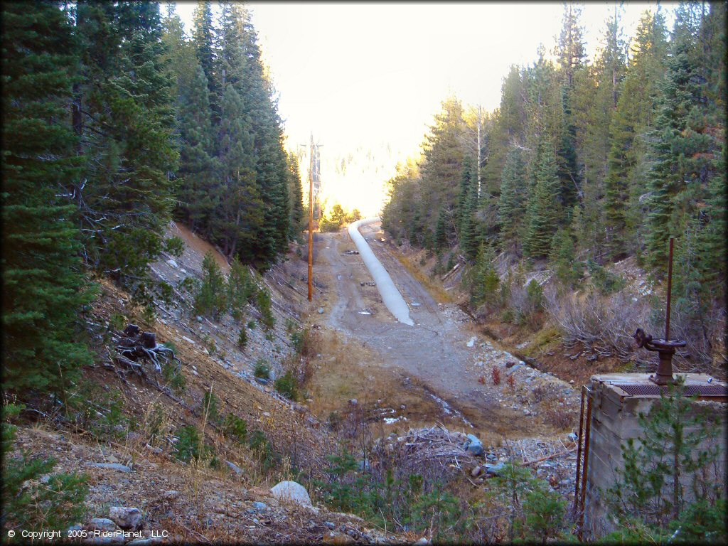 Scenic view at Jackson Meadows Trail